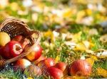 طراحی سایت و کافی نت محمدیان 