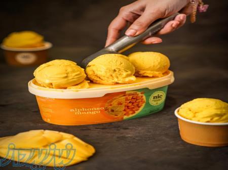 رنگ طبیعی و خوراکی کورکومین برای بستنی انبه 