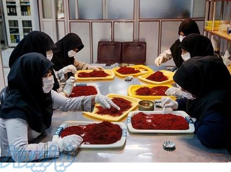 کار در منزل پک بندی زعفران 