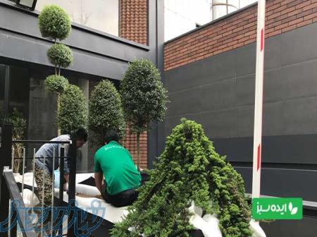 طراحی محوطه سبز برای ساختمان‌های اداری