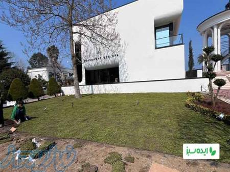 عرضه چمن رولی طبیعی به صورت جزیی و عمده با کیفیت عالی