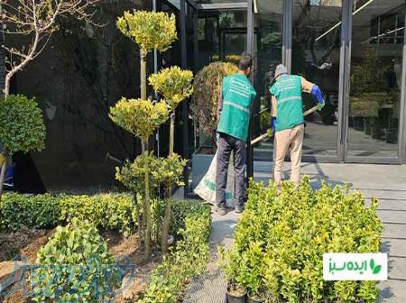 خدمات نگهداری فضای سبز و باغبانی