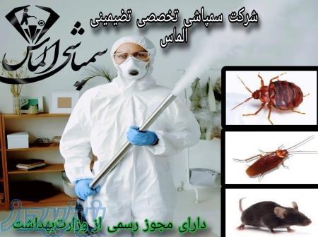 شرکت سمپاشی تضمینی الماس سم پاشی ساس موش سوسک موریانه 