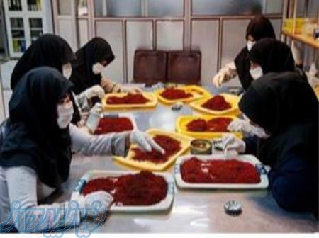 پک بندی زعفران 