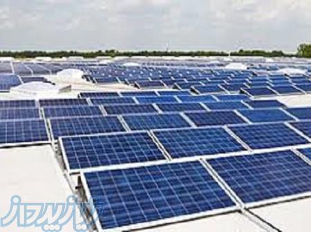 پنل خورشیدی 620 وات trina solar 