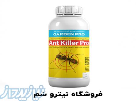 سم مورچه - خرید سم مورچه قوی 