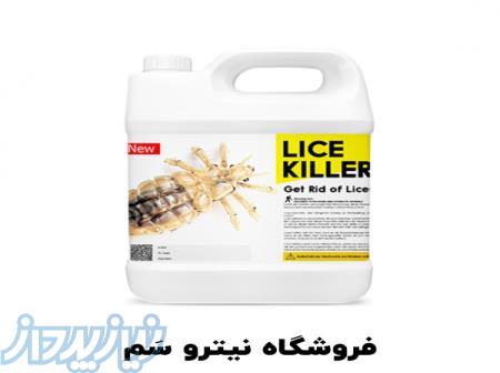 بهترین سم شپش کش - سم تخم شپش 