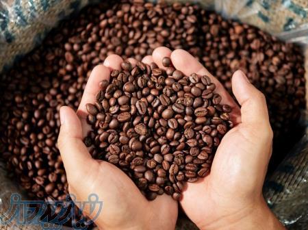 تامین قهوه 