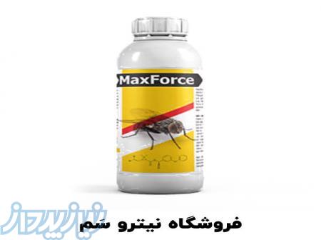 بهترین سم مگس کش - سم مگس فاضلابی 