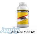 بهترین سم مگس کش - سم مگس فاضلابی 