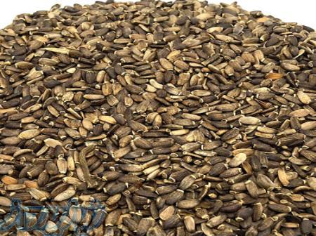 انواع بذر گیاهان دارویی 