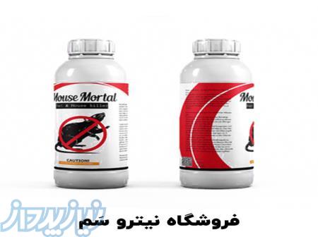 بهترین سم موش کش - سم طعمه موش 