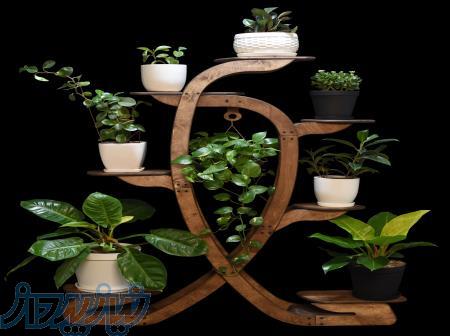 استند گلدان چوبی پلنتورا