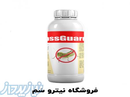 سم ملخ سبز - خرید سم ملخ قوی 