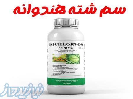 بهترین سم برای کنترل شته هندوانه   خرید سم دکلرووس 