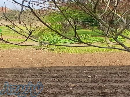 فروش خانه کلنگی با زمین 