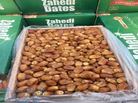 فروش عمده خرما 