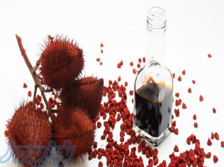 رنگ خوراکی آناتو فریر، انتخاب حرفه‌ای صنایع غذایی 
