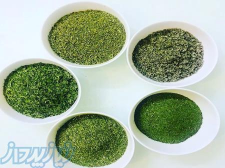 قبول بسته بندی انواع سبزیجات خشک 