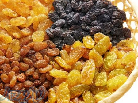 تامین و فروشنده عمده انواع کشمش 