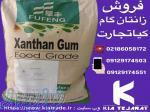 فروش زانتان گام 