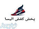 پخش کفش الیسا 