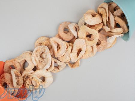 میوه خشک کن