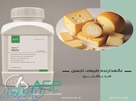 نایسین نگهدارنده طبیعی سیلور ضد باکتری (ضد آلودگی) در صنایع غذایی