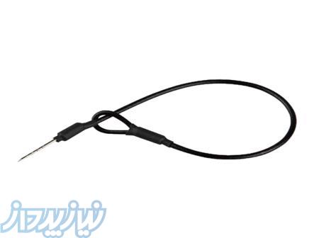 عرضه لنیارد در اصفهان 