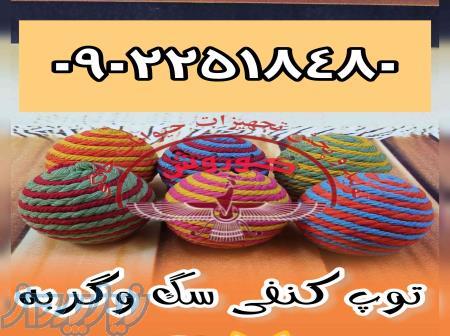 مجموعه کوروش عرضه کننده توپ کنفی سگ و گربه 