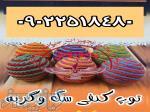 مجموعه کوروش عرضه کننده توپ کنفی سگ و گربه 