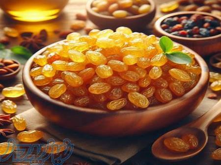 تامین و فروش عمده کشمش طلایی 
