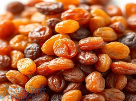 تامین و فروش عمده کشمش تیزآبی آفتابی (پلویی) 