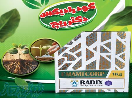 کود رادیکس دکتر ریچ 