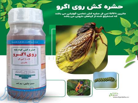 حشره کش روی اگرو 