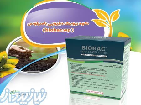 کود بیوبک دبلیوپی باسیلوس ( biobac wp) 