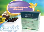 کود بیوبک دبلیوپی باسیلوس ( biobac wp) 