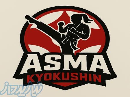 آموزش کیوکوشین کاراته از مبتدی تا قهرمانی 