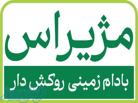 بادام زمینی روکشدار مژیراس 