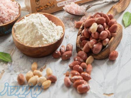 فروش طعم دهنده پودری سرکه نمکی 