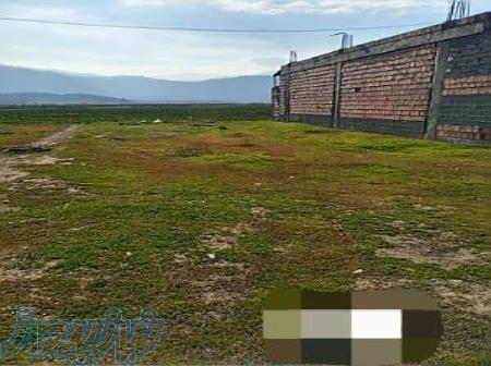 زمین مسکونی 