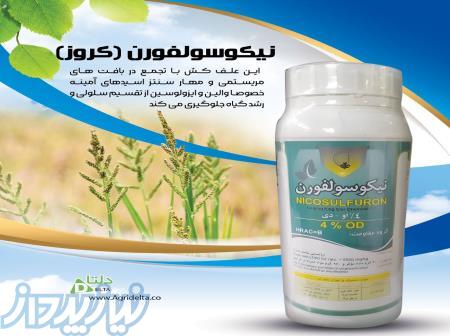 نیکوسولفورن (کروز) 