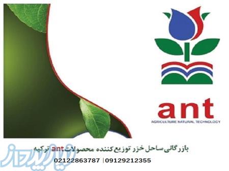 کود ANT TURKEY 