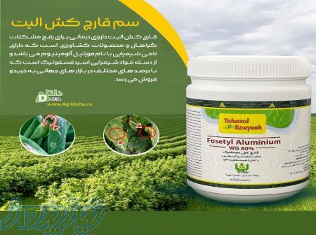 سم قارچ کش الیت 