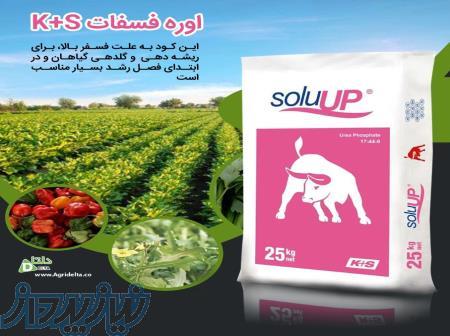 اوره فسفات کا پلاس اس   soluUP 