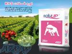 اوره فسفات کا پلاس اس   soluUP 
