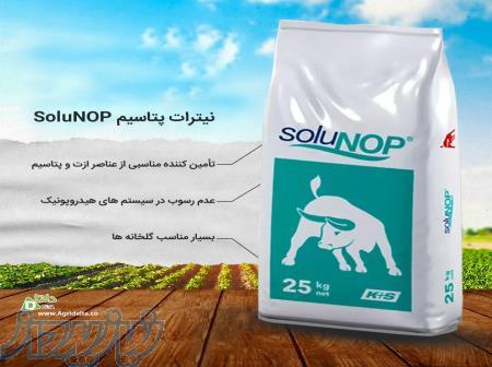 نیترات پتاسیم کا پلاس اس 