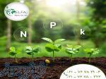 خرید کود کاملNPK مخصوص کشاورزی با بهترین قیمت عمده و ارسال سریع 