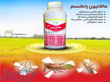 حشره کش مالاتیون 