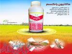 حشره کش مالاتیون 
